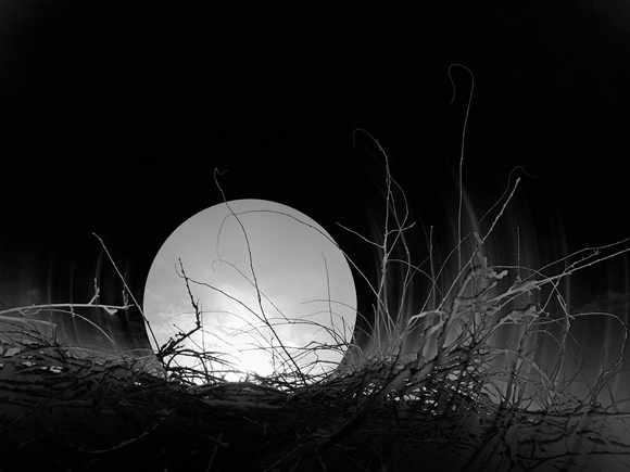 In The Cold Light of Night In The Cold Light of Night