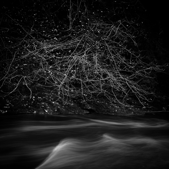 River Twiss Bank River Twiss Bank