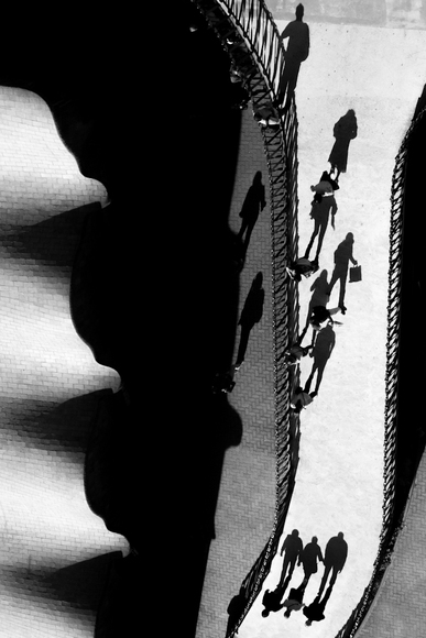 Morning walk Morning walk