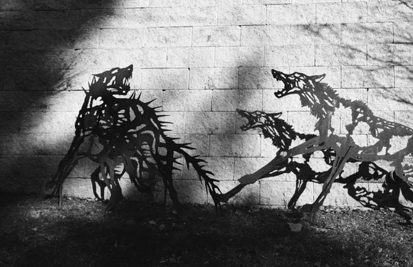 Steel Wolves Steel Wolves