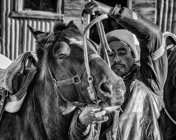 Tacking Up Tacking Up