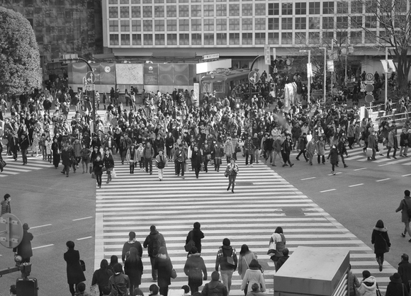 Tokyo: Shibuya Crossing
