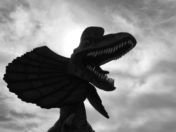 Dino Lost His Mind Dino Lost His Mind