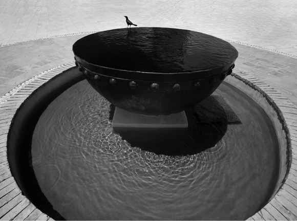 Bird and Fountain : 2007