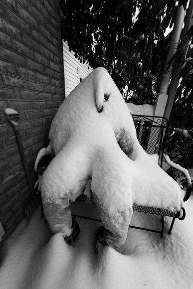 Abominable Snowman Abominable Snowman