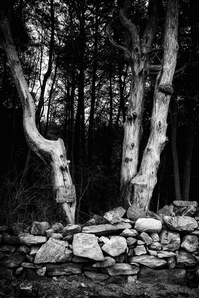 Study in Wood and Stone #2 Study in Wood and Stone #2