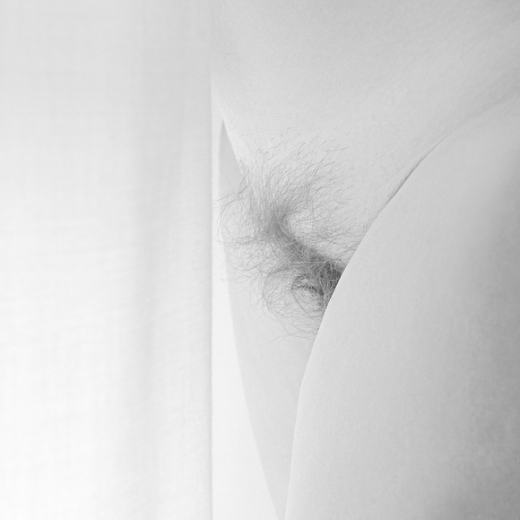 bianco ventre bianco ventre