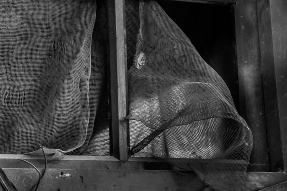 China Screen China Screen