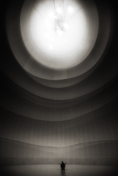 Fly Robin Fly Fly Robin Fly