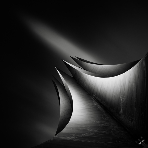 Dark Master`s Crown Dark Master`s Crown