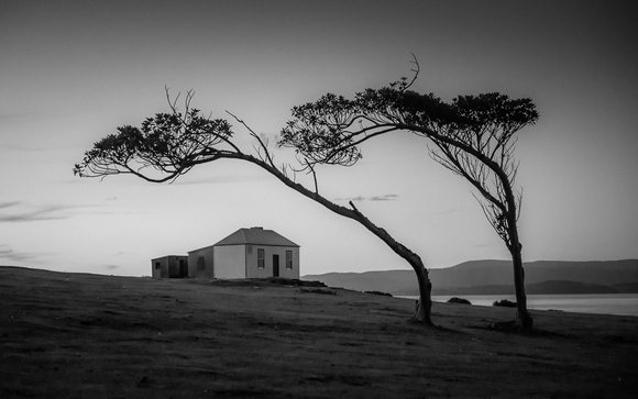 Last House on the Left Last House on the Left