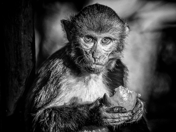 You won't steel my Orange dude You won't steel my Orange dude