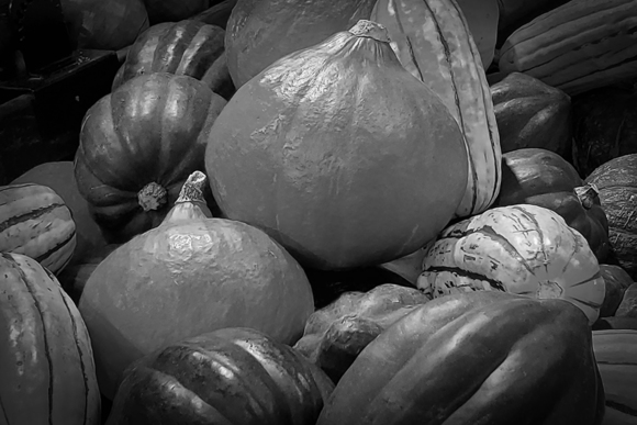 Autumn Gourds