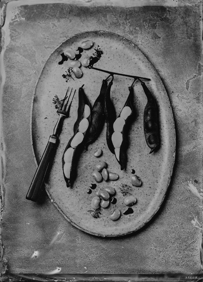 green beans with whipped goat cheese and fennel flowers green beans with whipped goat cheese and fennel flowers