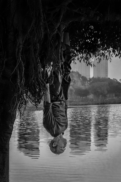 Tree of life Tree of life