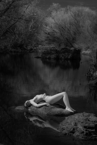 Vision of A Dreamer Vision of A Dreamer