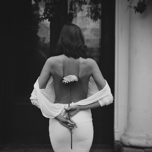 The Flower The Flower