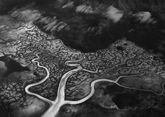 Dendritic Pattern Dendritic Pattern