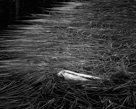 Floating Door to the Darkness Floating Door to the Darkness