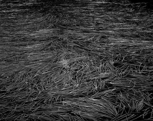 Floating Grass of Lake Irwin Floating Grass of Lake Irwin