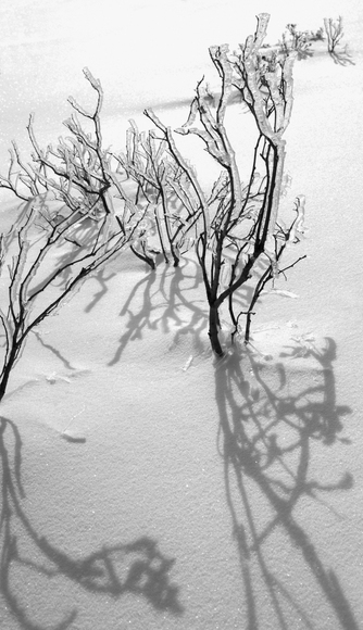 Ice After the Fire Ice After the Fire