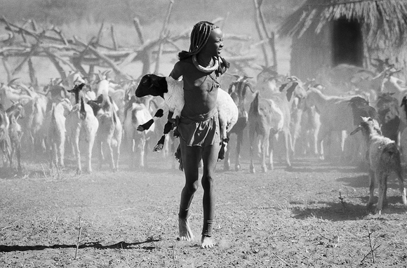 Himba Girl With Sheep In Dust Storm, Namibia