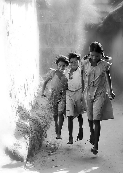 Flying Birds Flying Birds