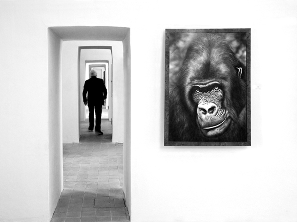 The Guardian The Guardian