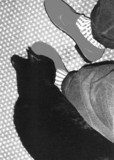 Cat and Boots