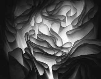 Untitled (2)