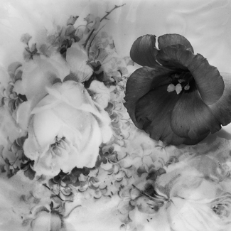 Flower and Bowl, Smithtown