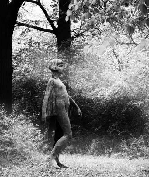 fairy