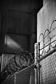 Barbwire