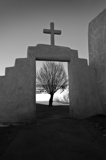 cross and tree