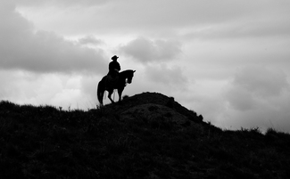 Cowboy Sentinel