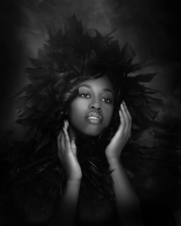Feathers