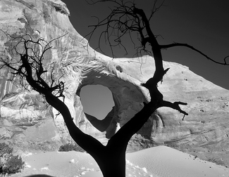 Framed Arch