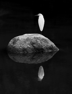 Tranquility