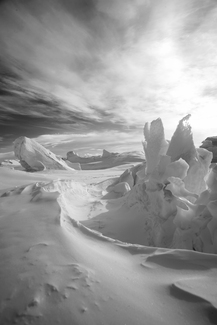 Whispers of Antarctica