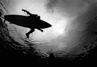 Surfs Up