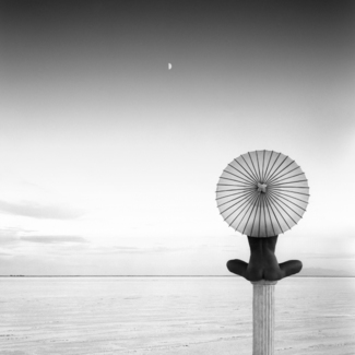 Parasols 5