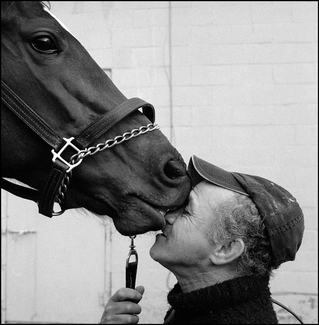 Big A: Winter Horseracing