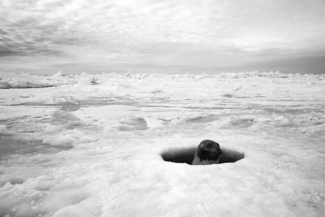 A View Through the Ice
