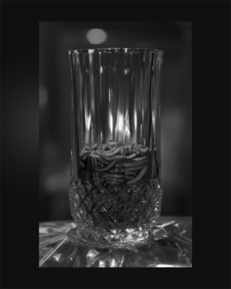 Klingon Ale: A Dry Brew With A Bit Of A Bite...
