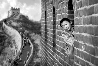 Wall Dreamer