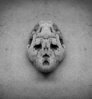 Portrait of a Stone