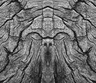 Portrait of a Wooden Table