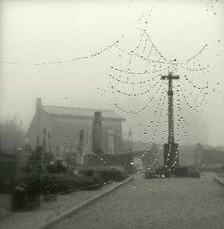 Angel guards cemetery