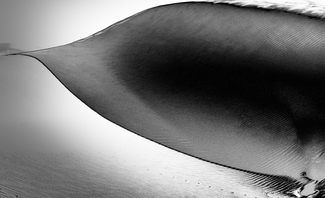 Dune