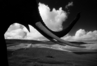 Mammoth